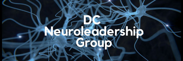 neuro-leadership-group2 neuro-leadership-group2