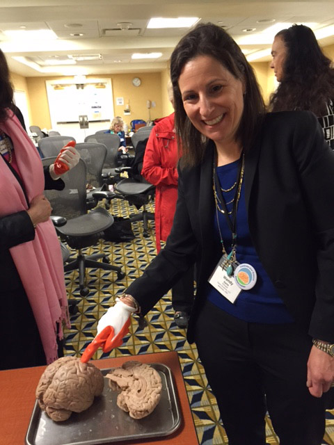 wendy-neuro applied neuroscience training